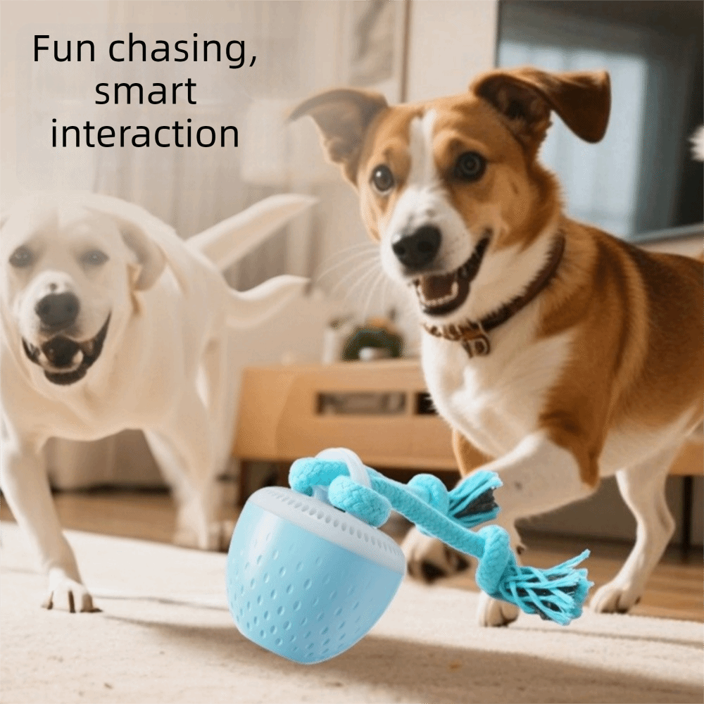 Bite Resistant Smart Pet Toy B - Automatic Moving Dog Ball 评论和价格