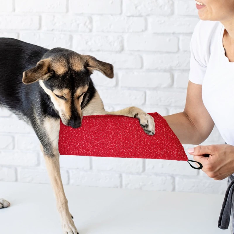 Dog Training Sleeves Puppy Bit - Interactive Squeaky Plush Dog Toy 评论和价格