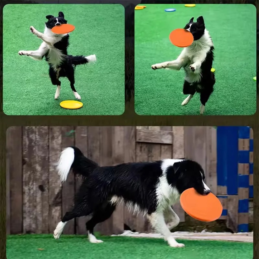 Dog Flying Disc TPR Pet Toy In - Flying Disc Dog Training Toy 评论和价格
