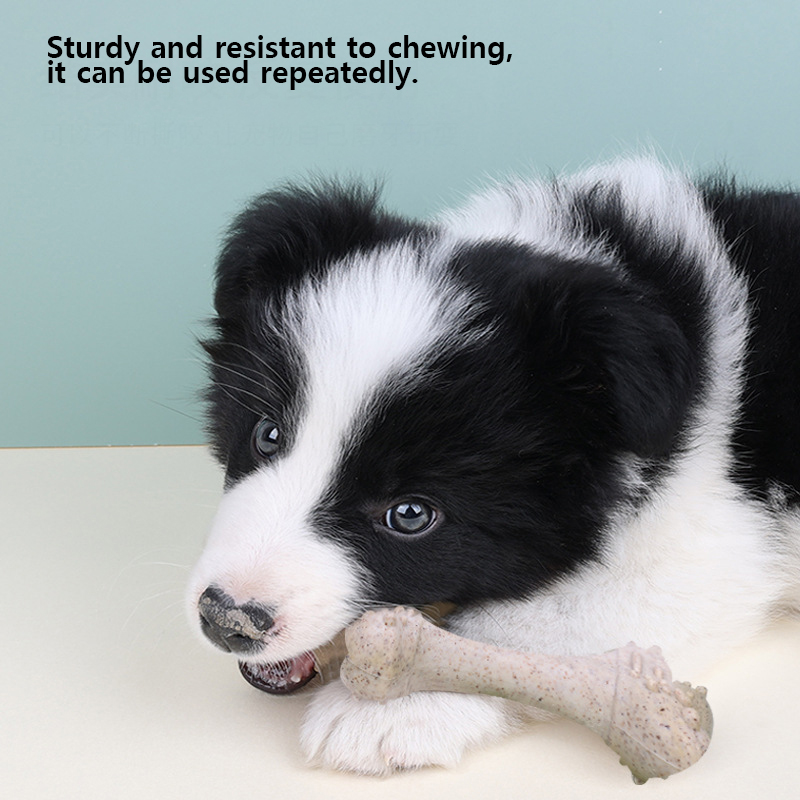 12cm Pet Toys Dog Tooth Cleani - Teeth Cleaning Dog Chew Bone 评论和价格