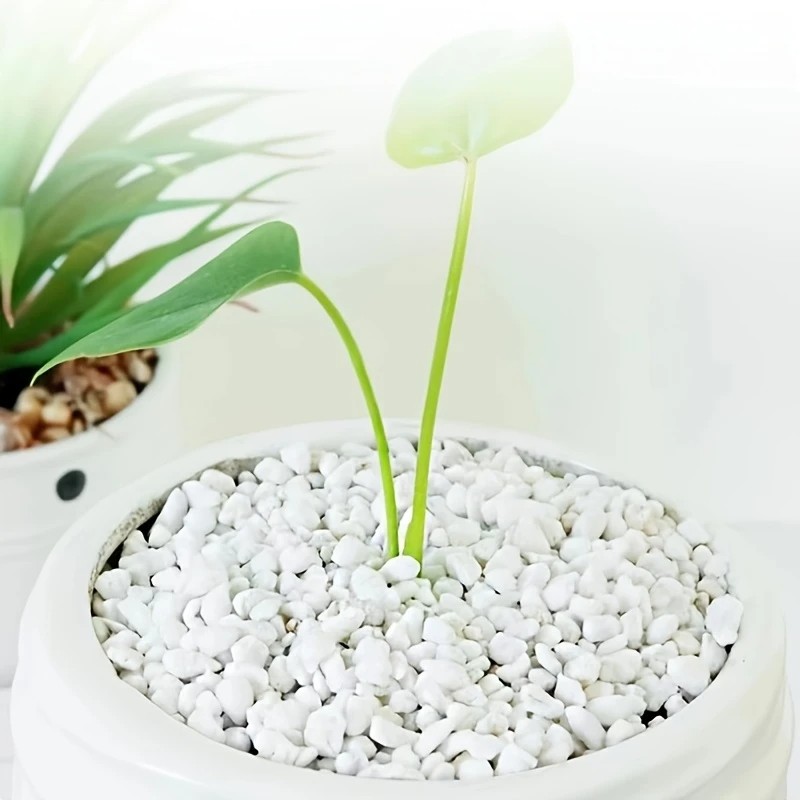 1L high-quality perlite succul - Pet Beds 评论和价格