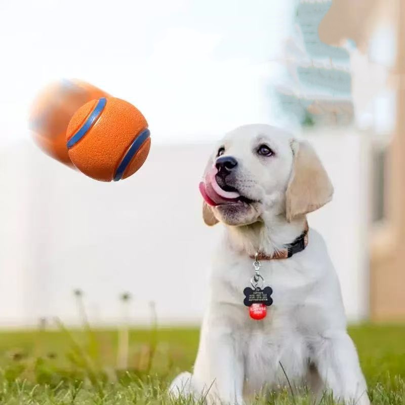 Tough Dog Toy Ball Chew Proof  - Indestructible Dog Chew Toy 评论和价格
