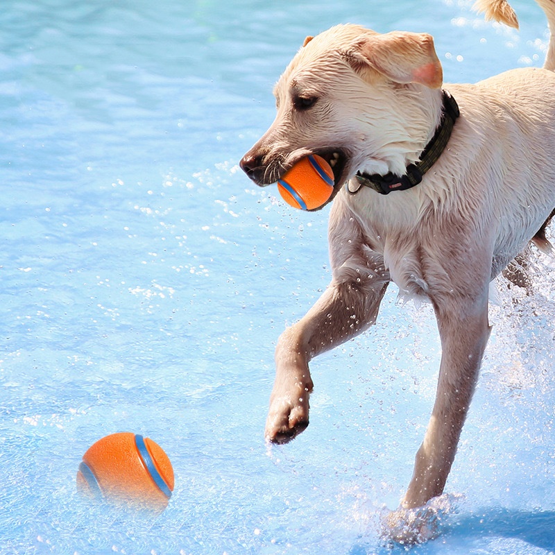 Tough Dog Toy Ball Chew Proof  - Indestructible Dog Chew Toy 评论和价格