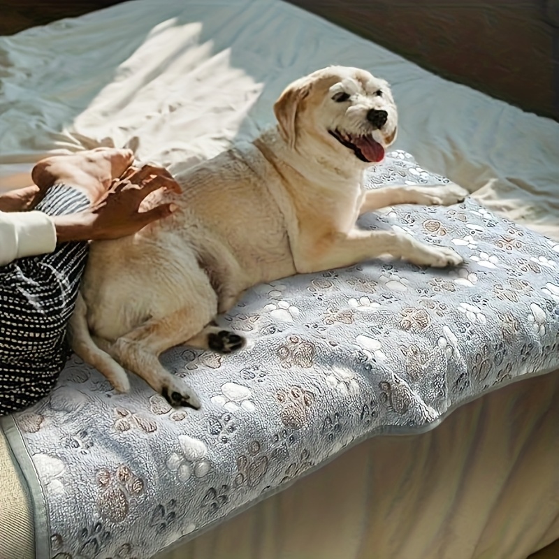 Comfortable Pet Towel Soft War - Pet Beds 评论和价格