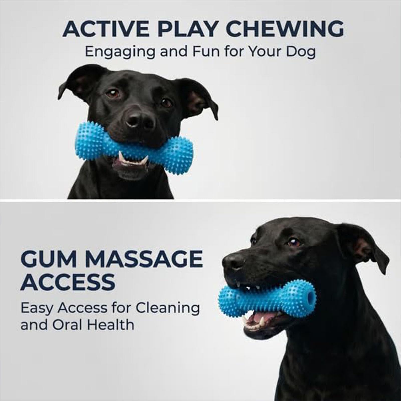 Dog Toothbrushing Toys Chewer  - Rubber Treat Dispensing Dog Toy 评论和价格