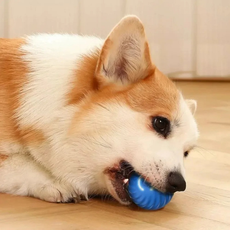 Dog Toy Ball Automatic Moving  - Indestructible Dog Chew Toy 评论和价格
