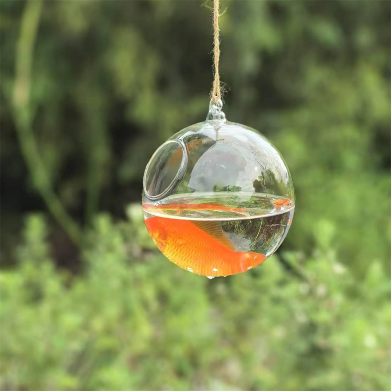 Small Packing Diameter=10cm 12 - Aquarium 评论和价格