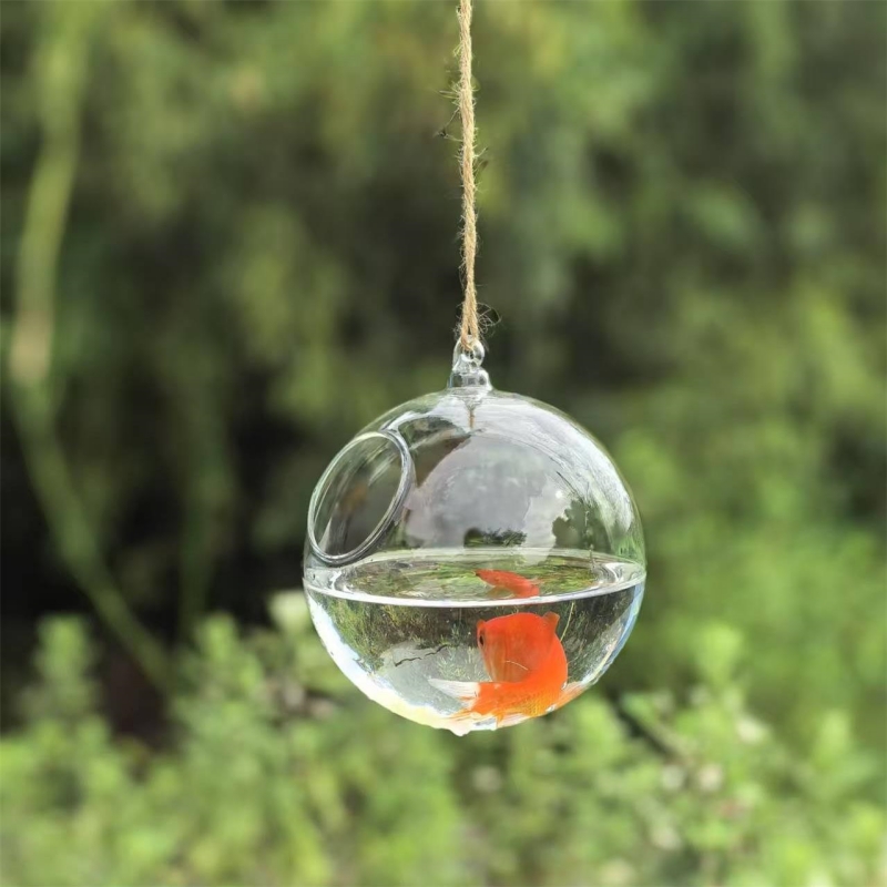 Small Packing Diameter=10cm 12 - Aquarium 评论和价格