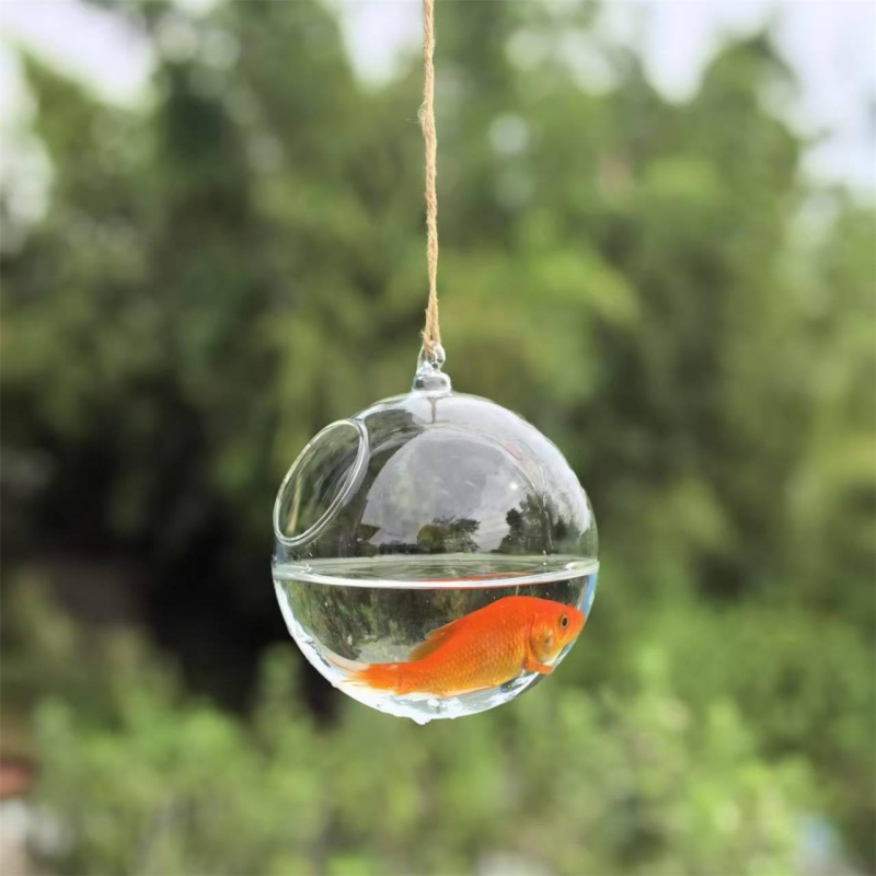 Small Packing Diameter=10cm 12 - Aquarium 评论和价格