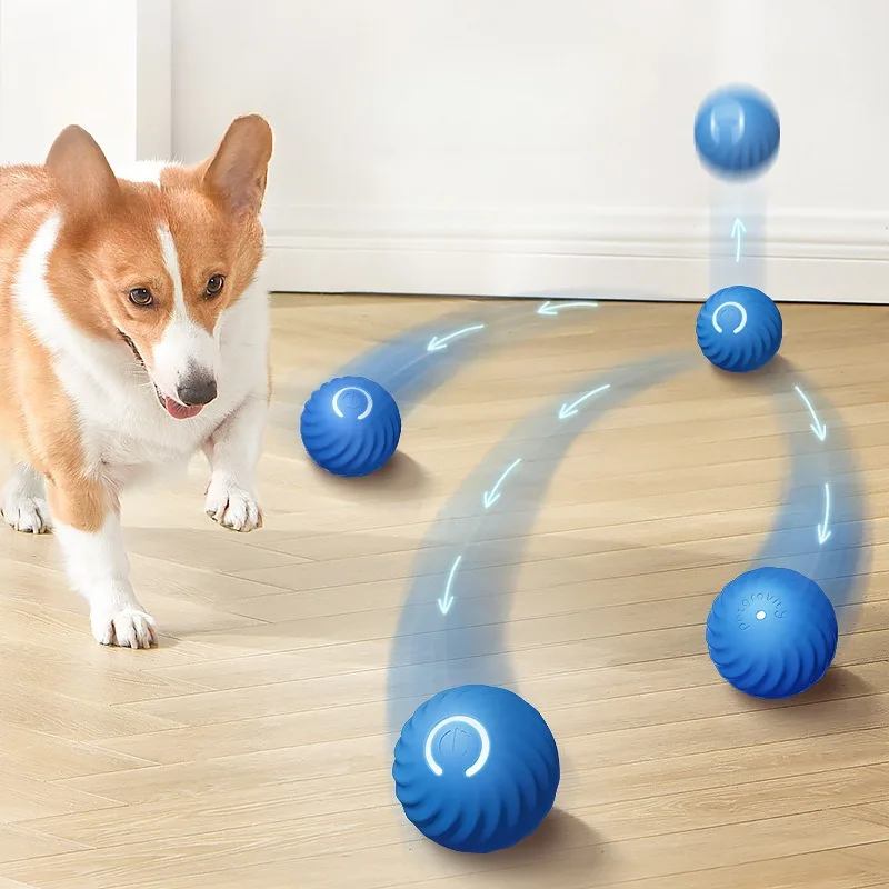 @1G-Pet Toy Ball Automatic Mov - Automatic Moving Dog Ball 评论和价格