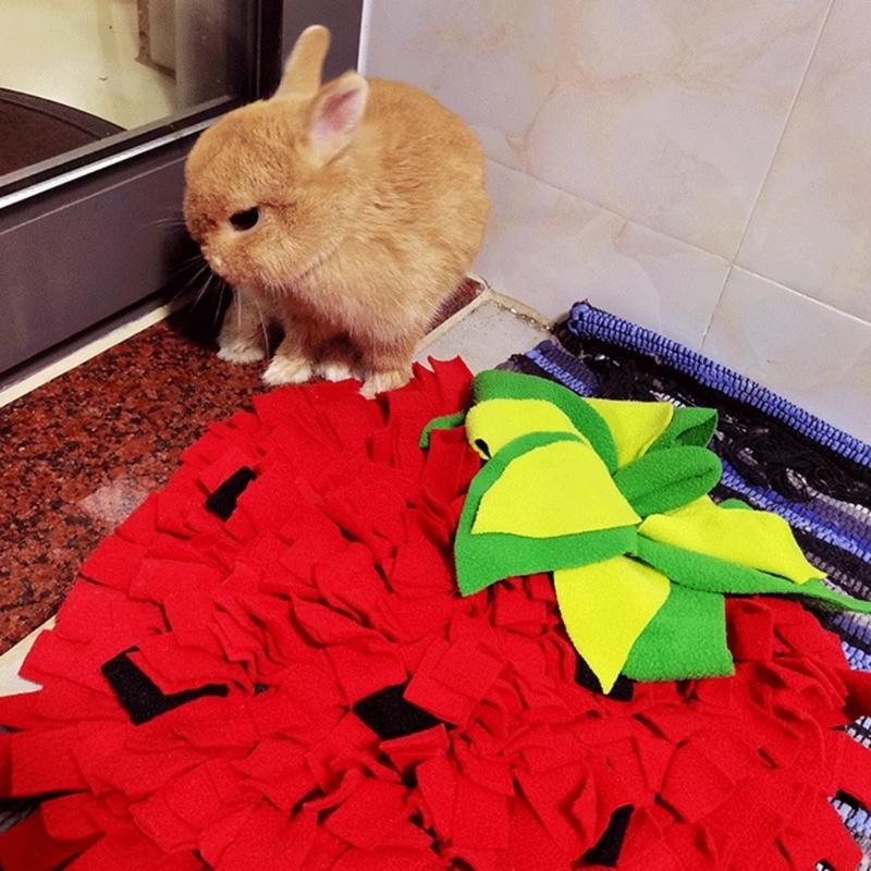 Pet Enrichment Slow Feeding Ma - Snuffle Mat For Dogs 评论和价格