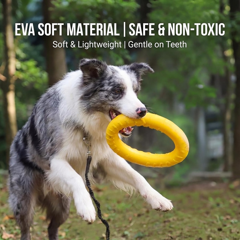 Dog Toys Pet Flying Discs EVA  - Flying Disc Dog Training Toy 评论和价格