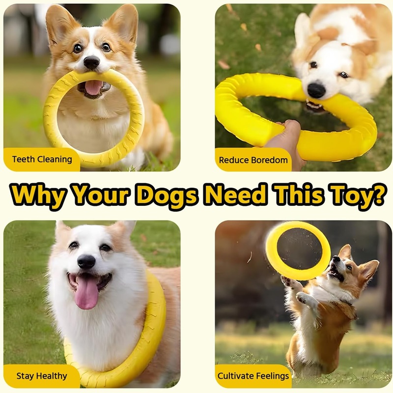 Dog Toys Pet Flying Discs EVA  - Flying Disc Dog Training Toy 评论和价格