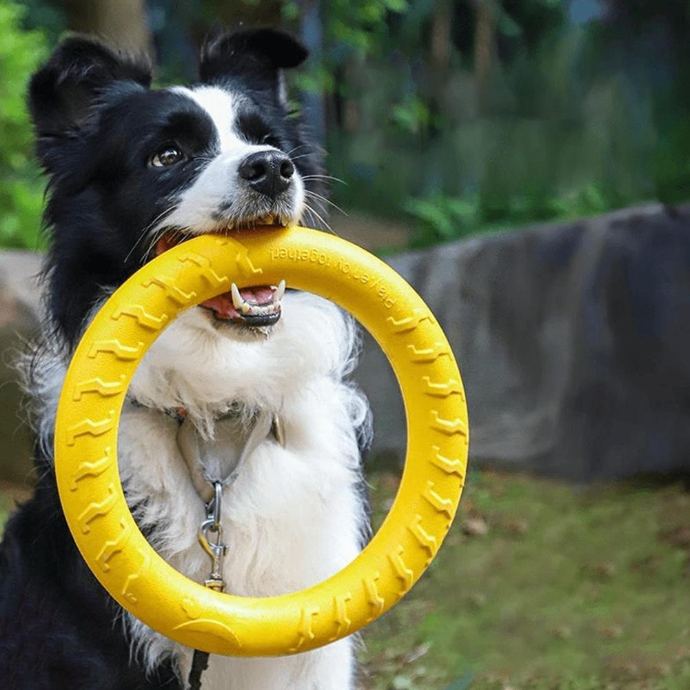 Dog Ring Toys Indestructible C - Indestructible Dog Chew Toy 评论和价格