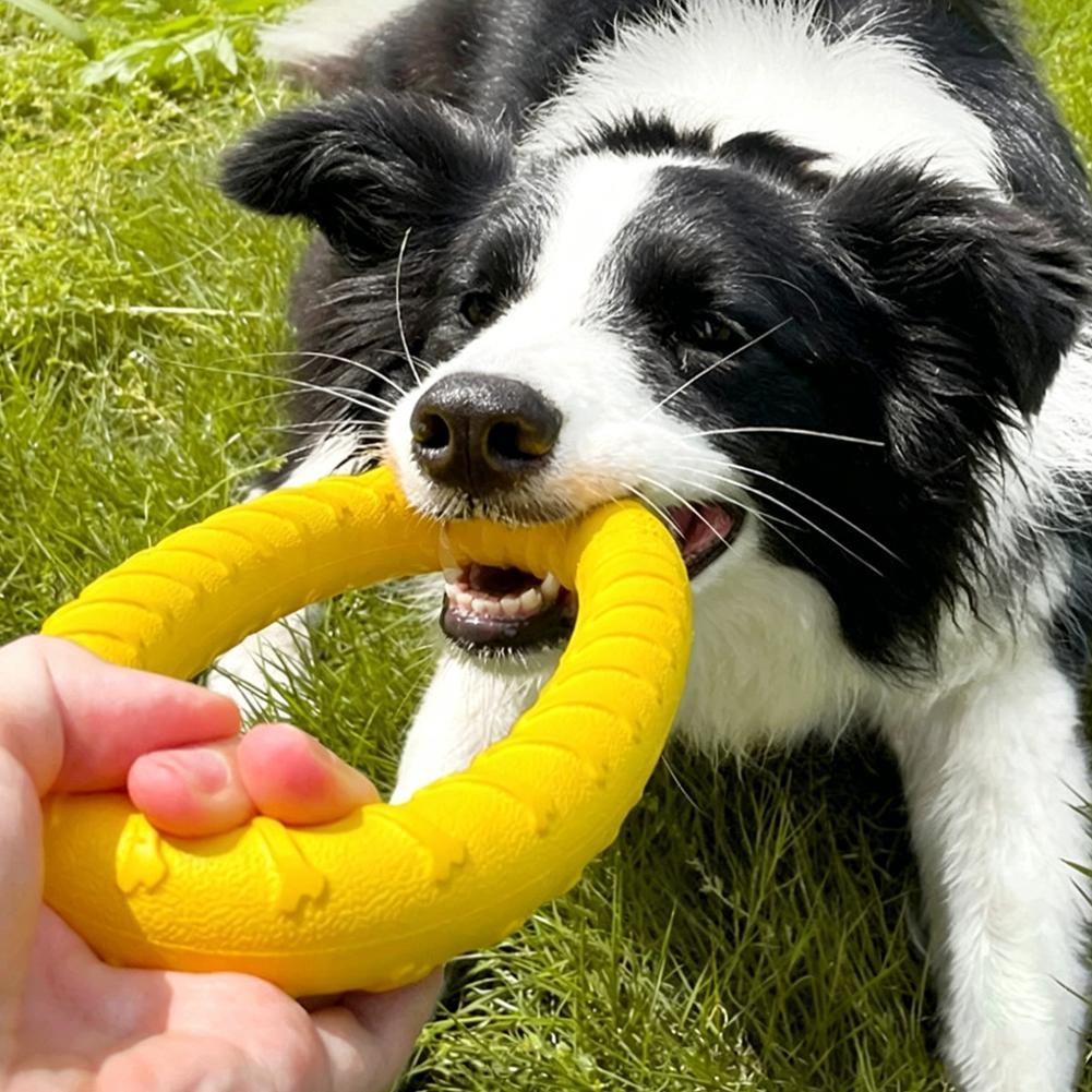 Dog Ring Toys Indestructible C - Indestructible Dog Chew Toy 评论和价格