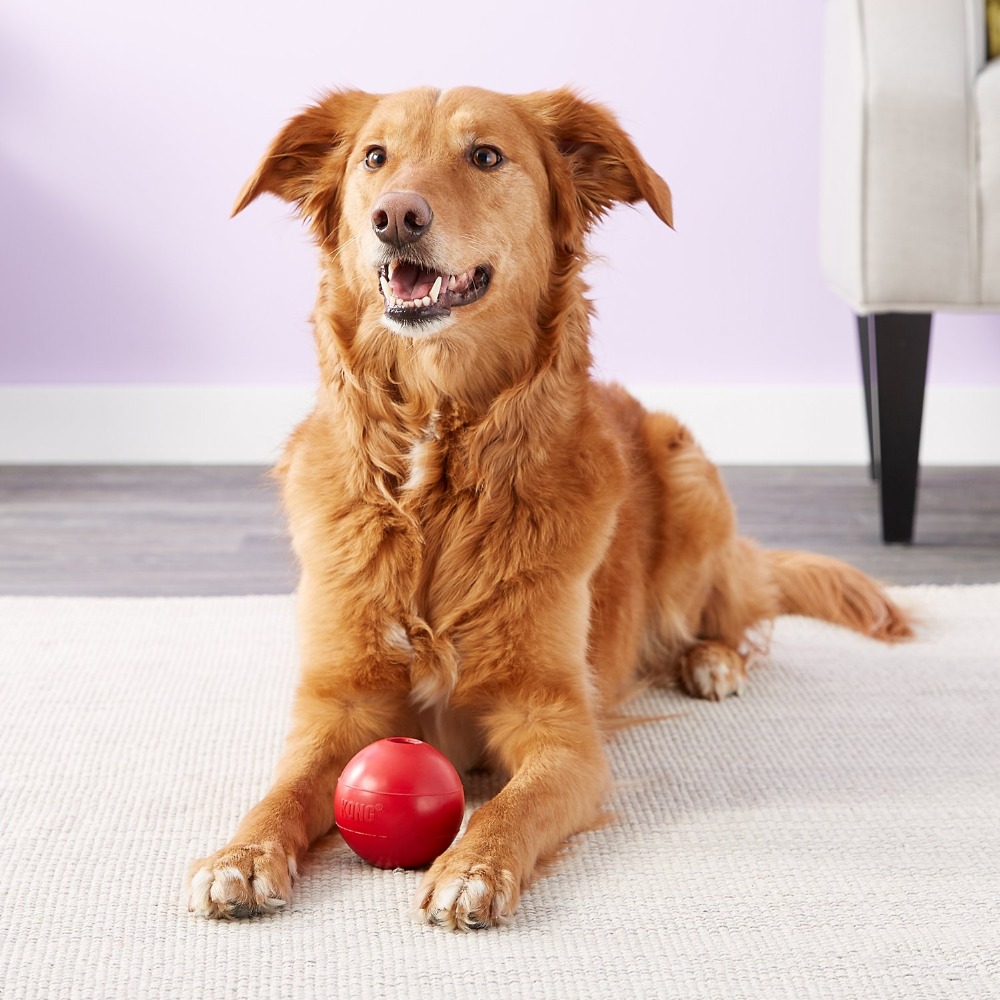 KONG Ball Dog Toy M/L - Indestructible Dog Chew Toy 评论和价格